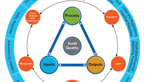 Audit quality framework